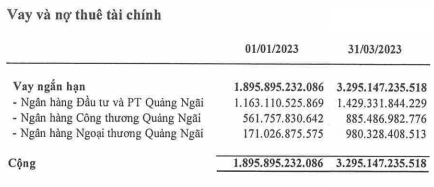 Chu thuong hieu Vinasoy bao lai quy 1 tang 80%, no vay tang gan 1,400 ty-Hinh-3