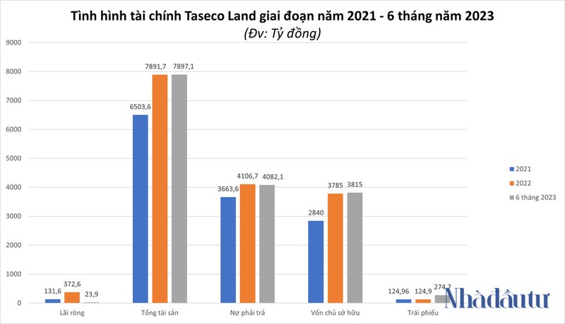 Lai rong nua dau nam 2023 cua Taseco Land giam hon 50%-Hinh-2