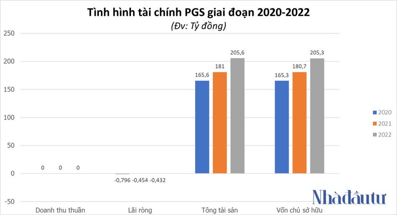 CTCP Tong cong ty PGS cua doanh nhan Pham Thi Lam Giang lam an ra sao?-Hinh-3