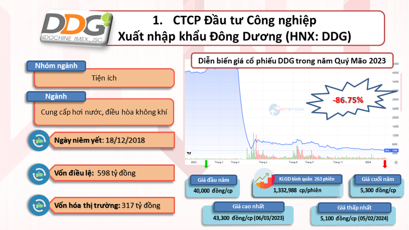 10 co phieu giam sau nhat nam Quy Mao 2023-Hinh-2