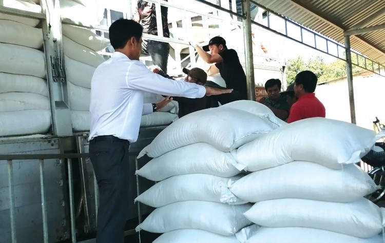 Goi thau Cung ung gao 7,8 ty tai Quang Binh: Dung nhat ve gia van bi loai