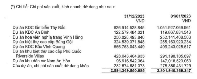 Thu nhap cua Chu tich CKG Tran Tho Thang 'khung' co nao?-Hinh-9