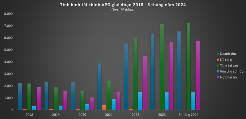 VPG: Doanh thu ngan ty, lai 'nho giot'-Hinh-2