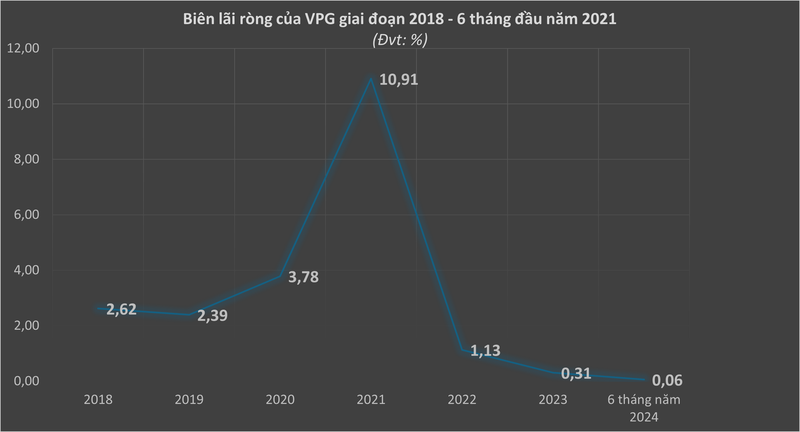 VPG: Doanh thu ngan ty, lai 'nho giot'-Hinh-3