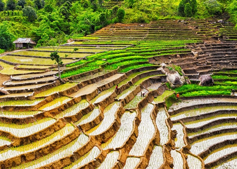 Tu Mo Rong xanh binh yen, dep mo mang