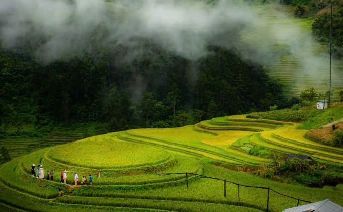 Ve Mu Cang Chai 'hit ha' huong lua, ngam mua vang-Hinh-2