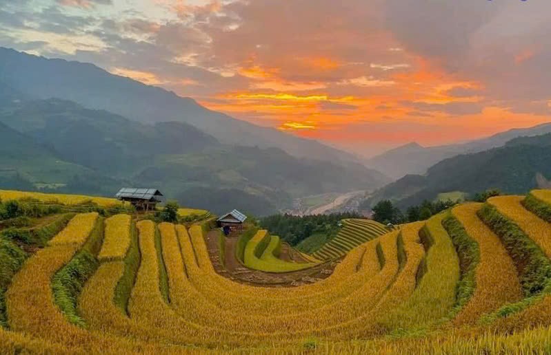 Ve Mu Cang Chai 'hit ha' huong lua, ngam mua vang