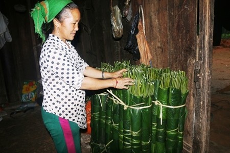 Vao rung “san” la dong, thu tien trieu moi ngay