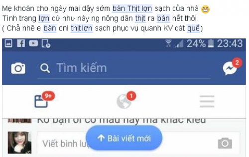 Thit lon rot gia, bo me “khoan” cac con rao ban online-Hinh-2