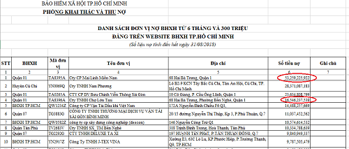 Mai Linh dung dau danh sach no bao hiem xa hoi o TPHCM