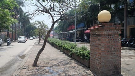 Nhung vu "xe thit" dat vang Ha Noi gay soc du luan