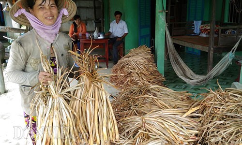 "Nuoi” luc binh, chuyen la doi nhung khong moi o mien Tay-Hinh-5