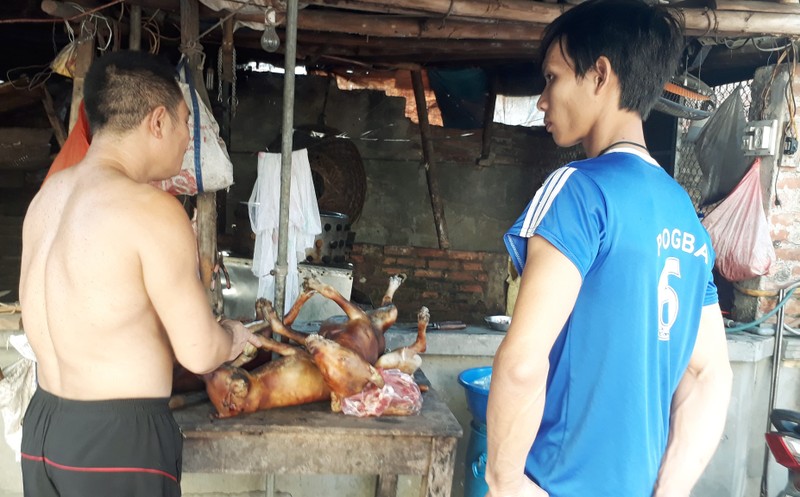 Chu lo mo cho lai bac trieu tiet lo nguyen nhan bo nghe