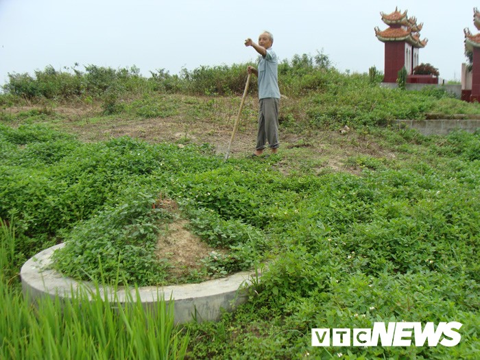 Tham canh tan pha mo co khong lo chua ca tan bau vat o Hai Duong-Hinh-7