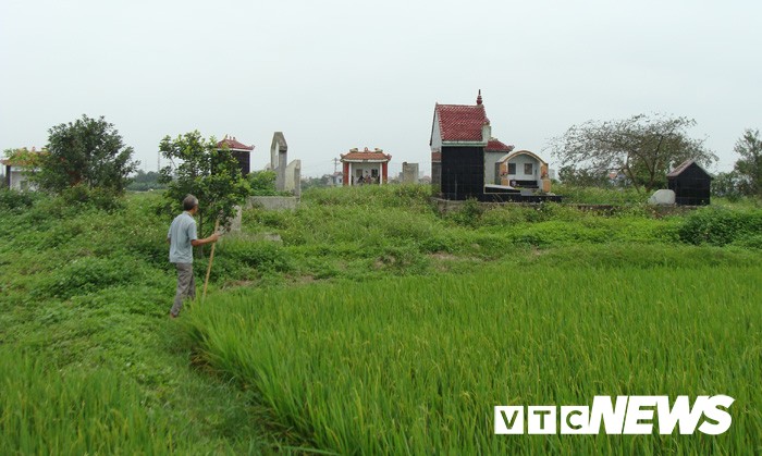 Tham canh tan pha mo co khong lo chua ca tan bau vat o Hai Duong-Hinh-8