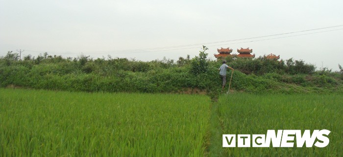 Tham canh tan pha mo co khong lo chua ca tan bau vat o Hai Duong