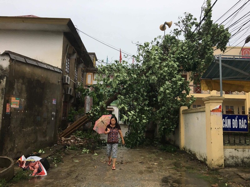 Thiet hai ban dau do bao so 2 tai Nghe An, Ha Tinh-Hinh-3