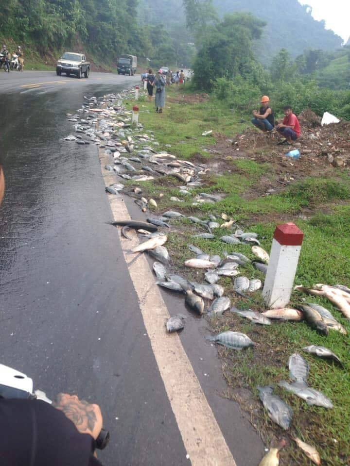 Hoa Binh noi gi thong tin nguoi dan “hoi” ca o doc Quy Hau?-Hinh-2