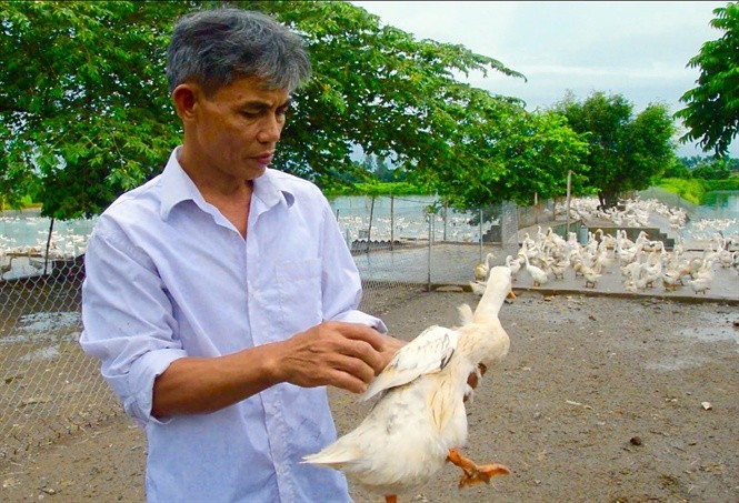 "Chua vit" dat Bac san xuat trung sach: Moi ngay nhat... ca tai tien-Hinh-2