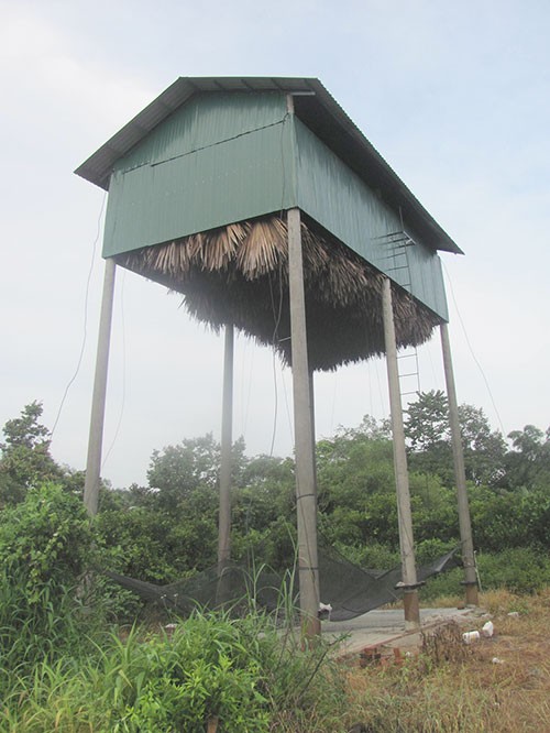 Nghe la lung: Nuoi doi lay phan ban gia cao