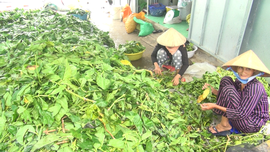 Xon xao thuong lai “bi an” thu mua luong lon la nhau-Hinh-2