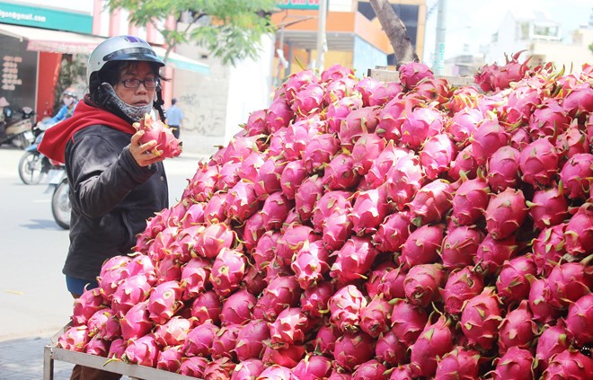 Vi sao nong san Viet gap kho tai thi truong Trung Quoc?