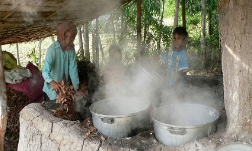 Vach mat cong nghe san xuat duong thot not dom gia re