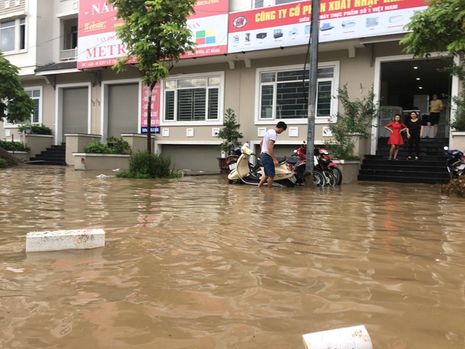 Cu dan biet thu trieu do lai "cheo thuyen" sau mua-Hinh-3