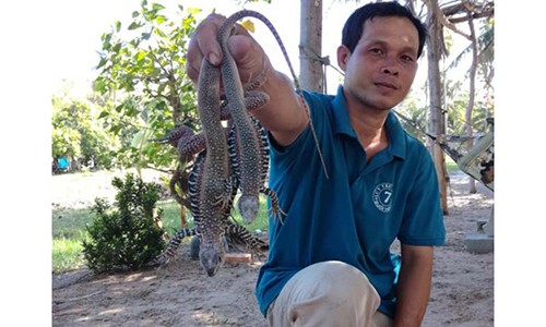 Dac san thit dong "chay hang", cac resort tranh nhau mua