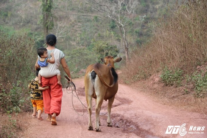 Cuoc song nhoc nhan cua nhung "co dau 8 tuoi" o mien Tay xu Nghe