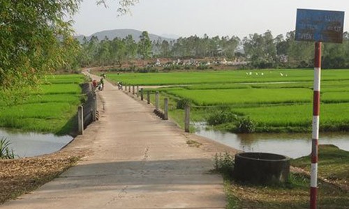 Chuyen “ma song” vat vuong quanh cay cau o Quang Nam