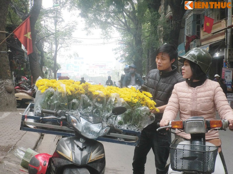 Het Tet, dao, mai van ban day duong-Hinh-4