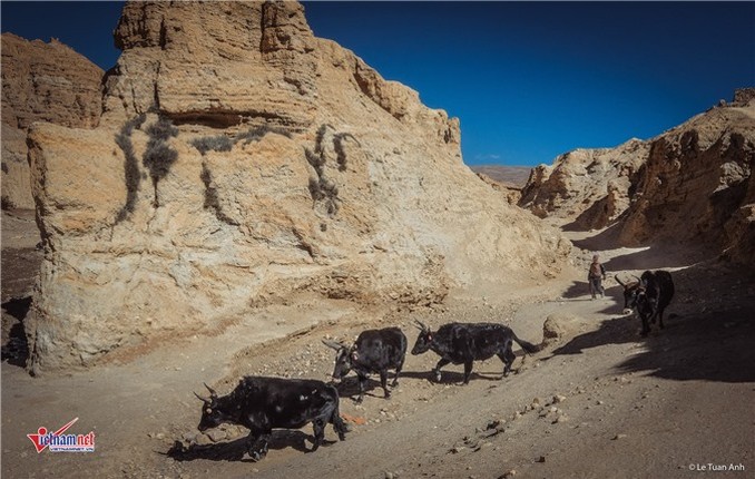 Mustang,Nepal,Tây Tạng,Du lịch nước ngoài