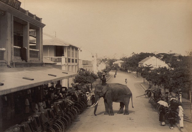 La lung canh voi xuat hien tren duong pho Ha noi xua-Hinh-3