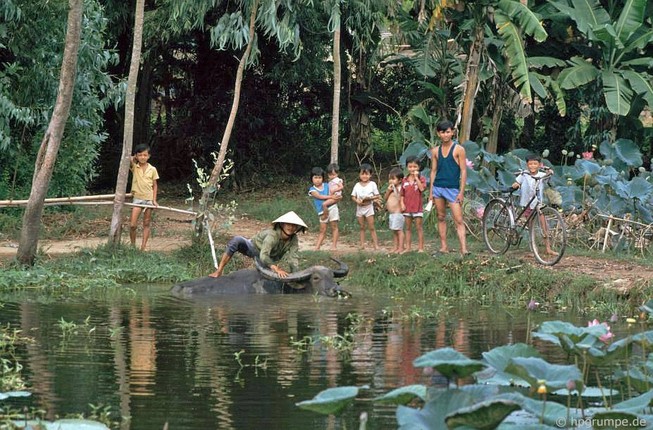 Nhung khoanh khac sinh dong ve cuoc song o Quang Nam nam 1991, 1992-Hinh-13