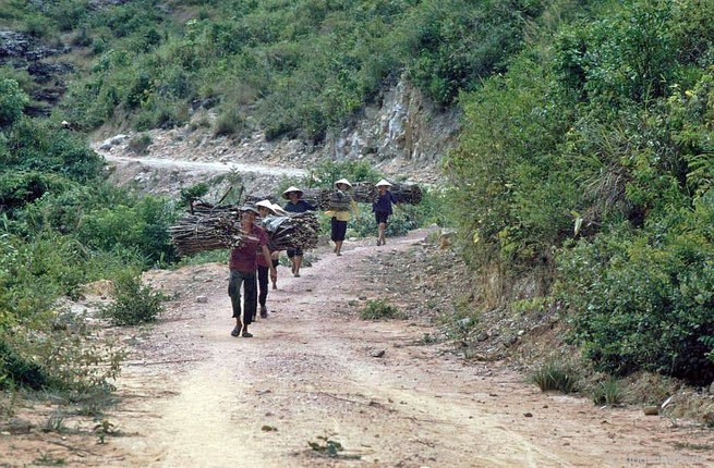 Nhung khoanh khac sinh dong ve cuoc song o Quang Nam nam 1991, 1992