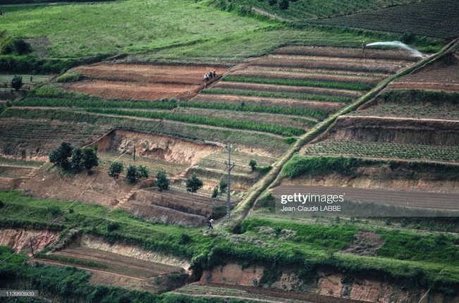 Thanh pho suong mu Da Lat nam 1994 trong nhu the nao?-Hinh-3