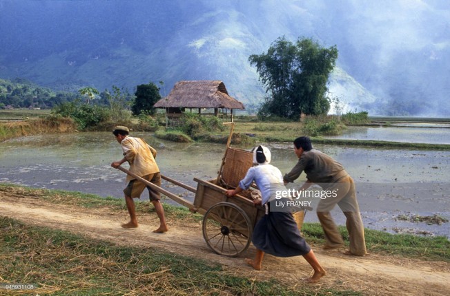 Chum anh dong que mien Bac thanh binh nam 1987-Hinh-10