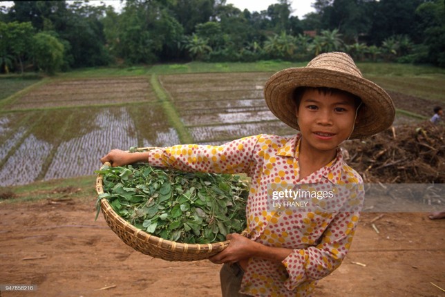 Chum anh dong que mien Bac thanh binh nam 1987-Hinh-7