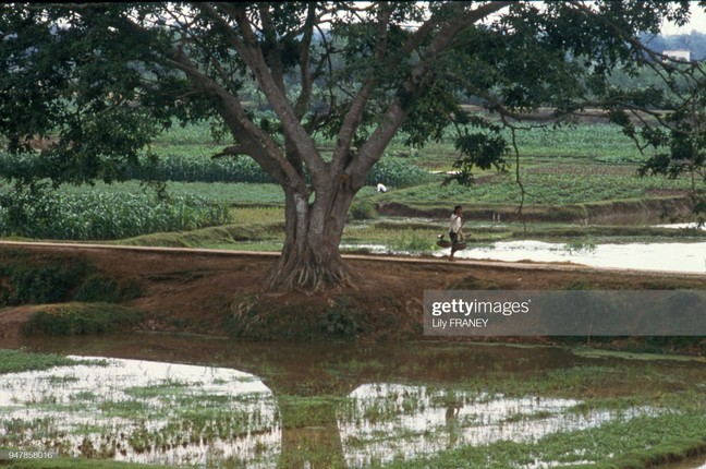 Chum anh dong que mien Bac thanh binh nam 1987