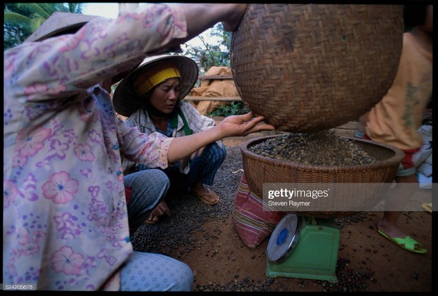 Chum anh an tuong ve tinh Dak Lak nam 1994-Hinh-3