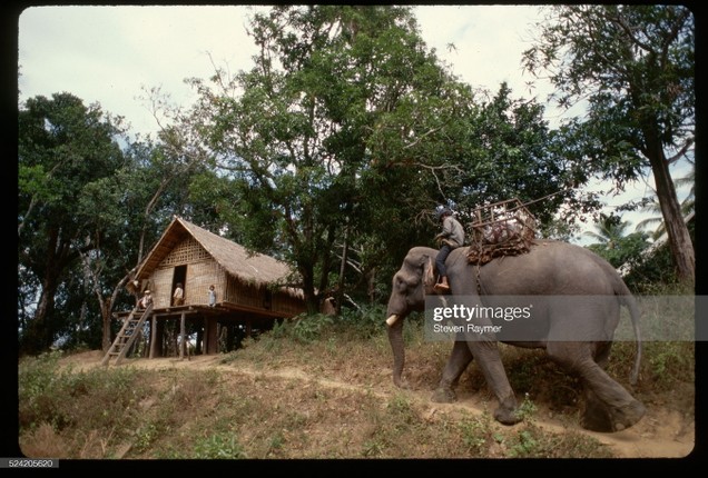 Chum anh an tuong ve tinh Dak Lak nam 1994-Hinh-4