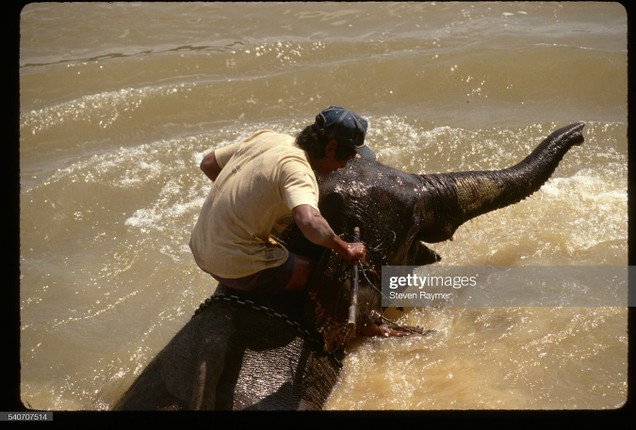 Chum anh an tuong ve tinh Dak Lak nam 1994-Hinh-5