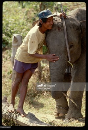 Chum anh an tuong ve tinh Dak Lak nam 1994-Hinh-6