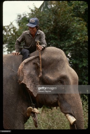 Chum anh an tuong ve tinh Dak Lak nam 1994-Hinh-7