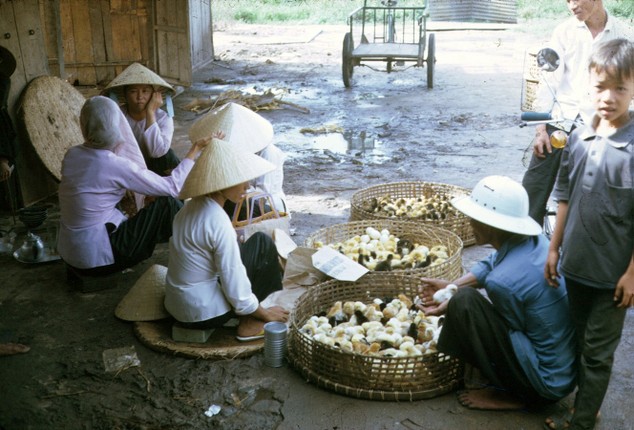 View - 	Loạt ảnh cực quý về Vũng Tàu thập niên 1960 1970