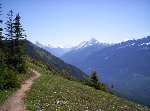 Kinh nghiem de giu mang song khi di lac tren rung-Hinh-4