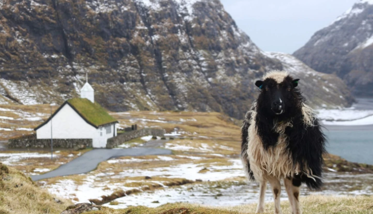 Chi 1 nguoi nhiem COVID-19, quan dao Faroe co gi dac biet?-Hinh-12