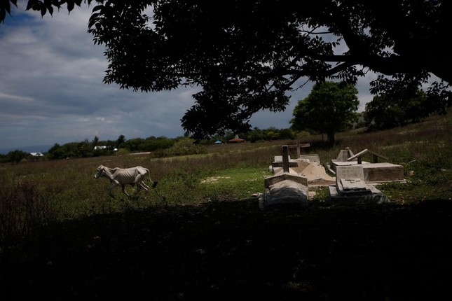 Han han keo dai khien cu dan dao o Indonesia dieu dung-Hinh-3