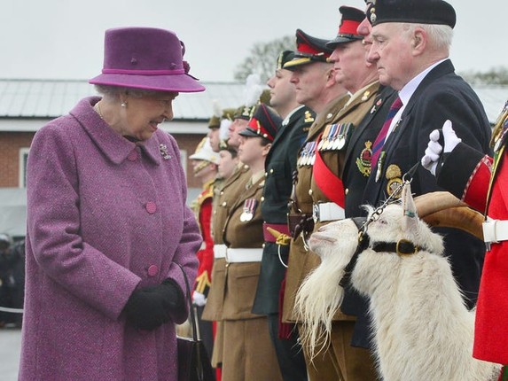 Tinh yeu voi dong vat cua Nu hoang Anh Elizabeth II-Hinh-12